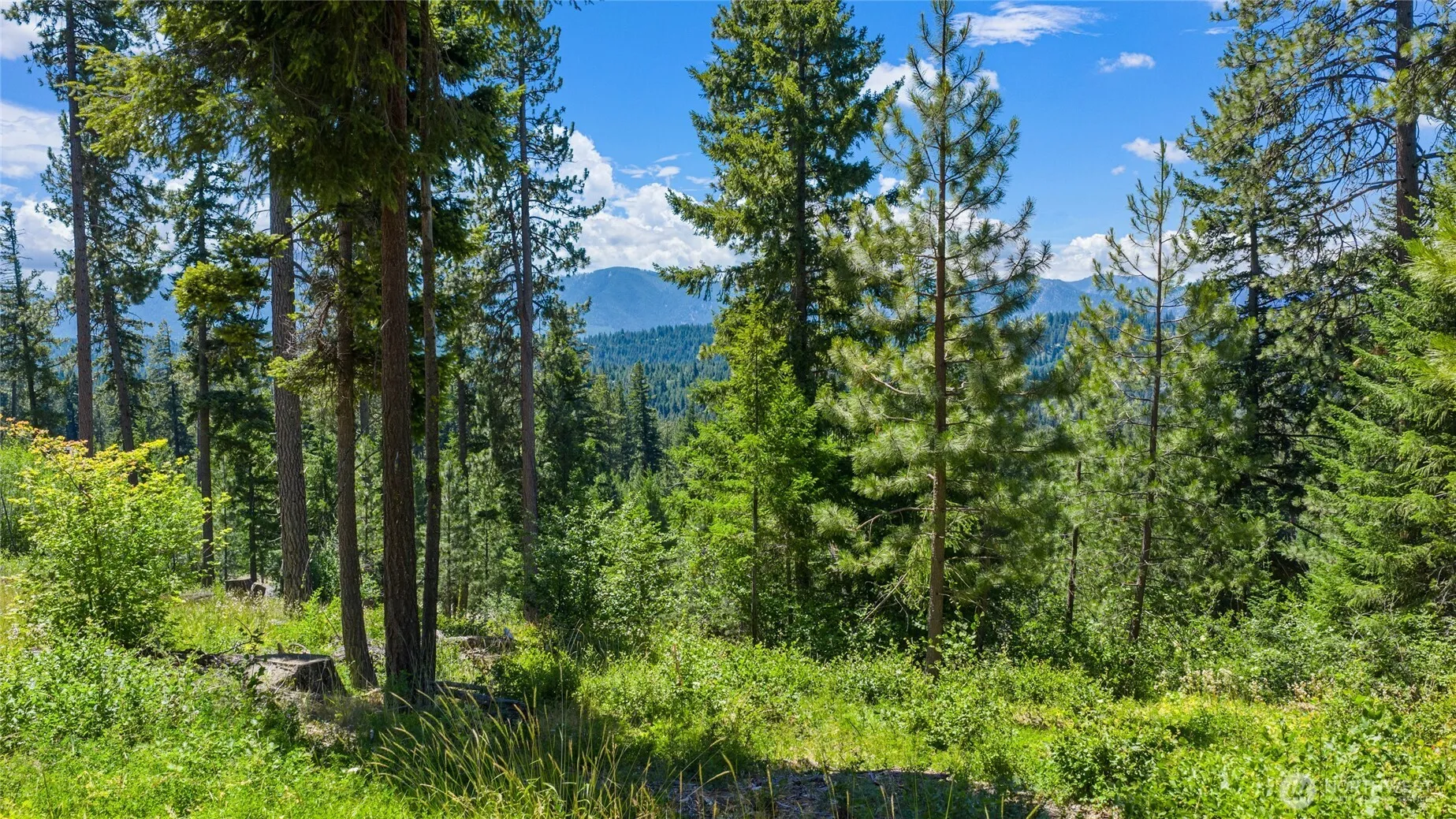 Property photo for 4 Red Sky Way, Cle Elum photo 4