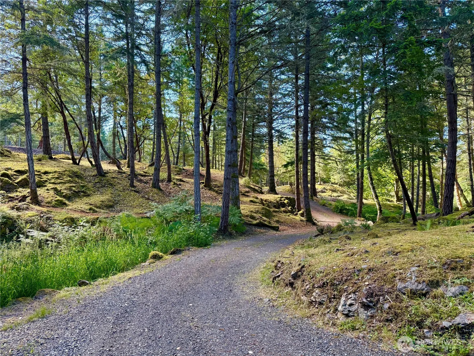 Property photo for 0 Kiya Way, Friday Harbor photo 4