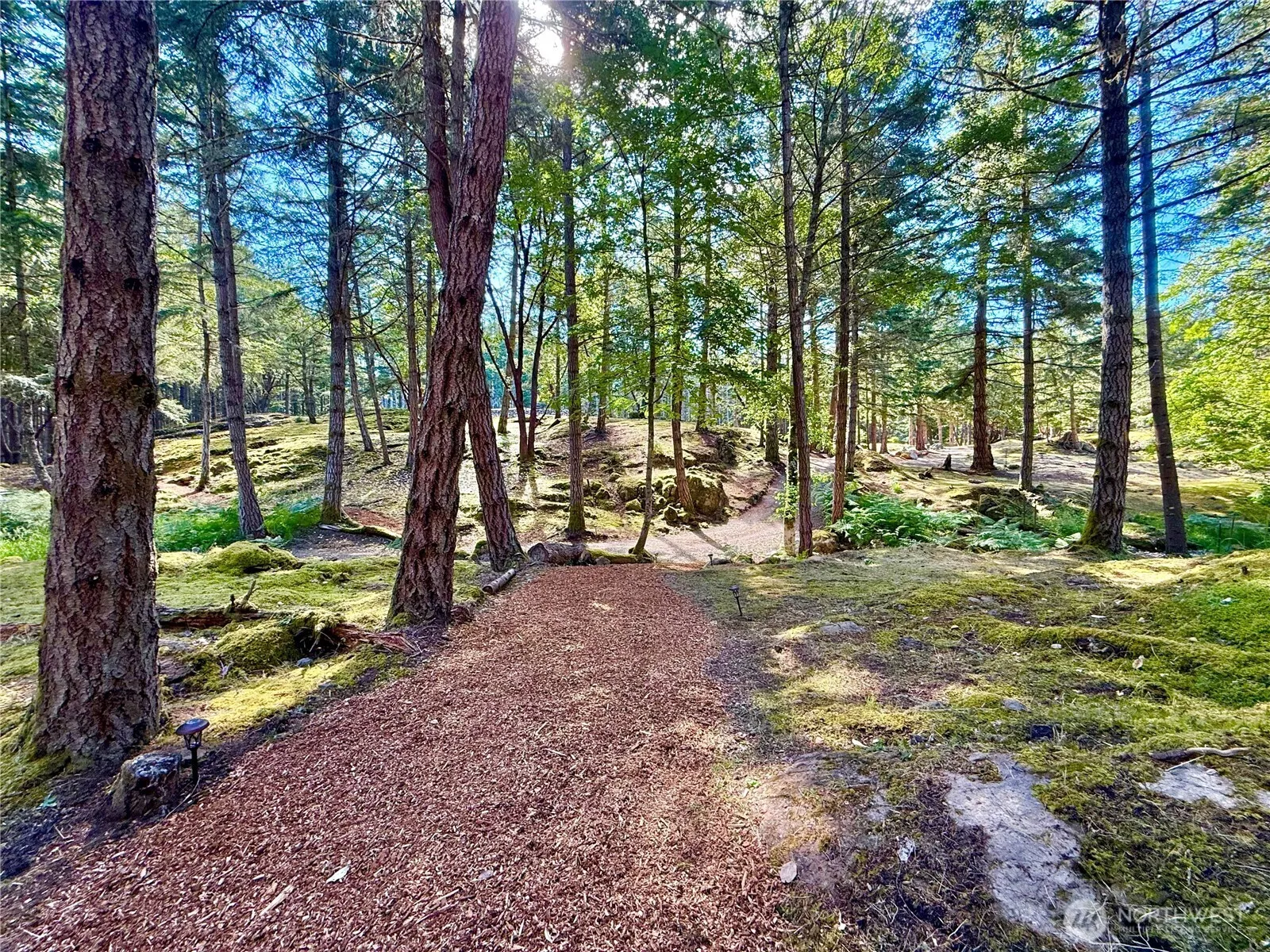 Property photo for 0 Kiya Way, Friday Harbor photo 2