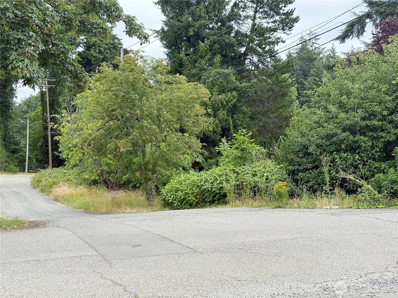Property photo for 2 Xx Euclid Avenue, Shelton