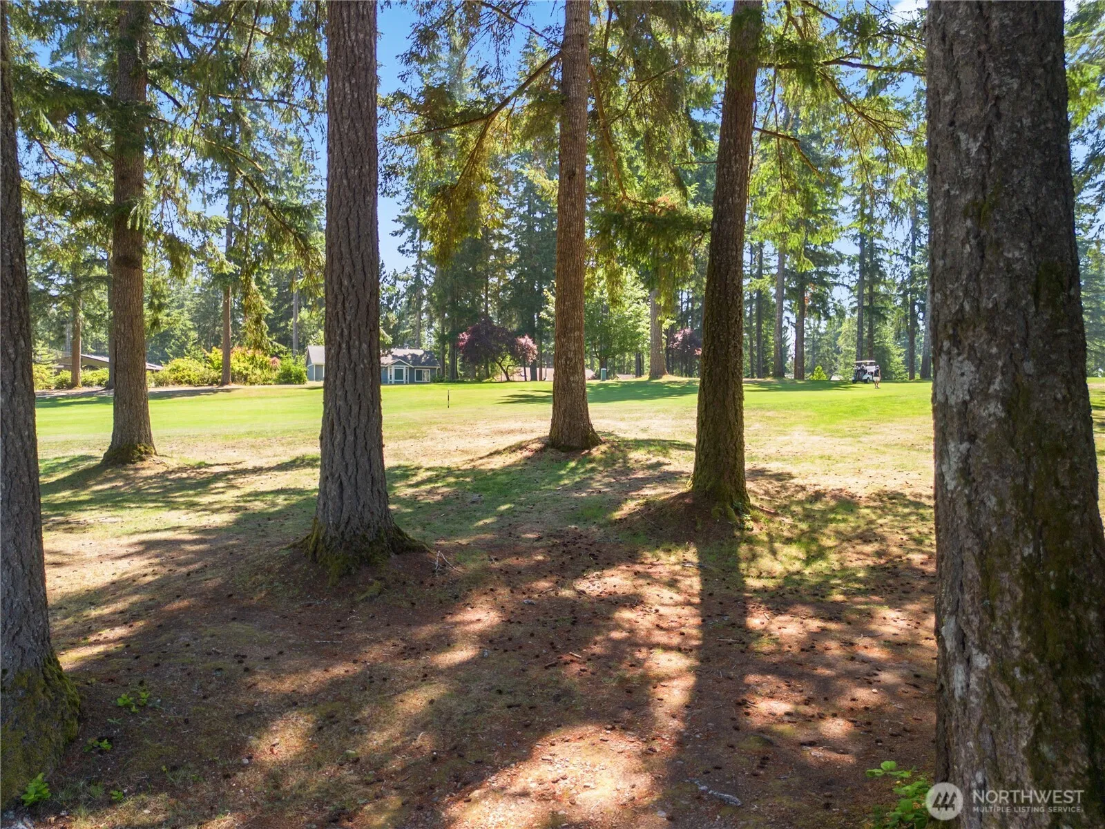 Property photo for 260 E Penzance Road, Shelton photo 4