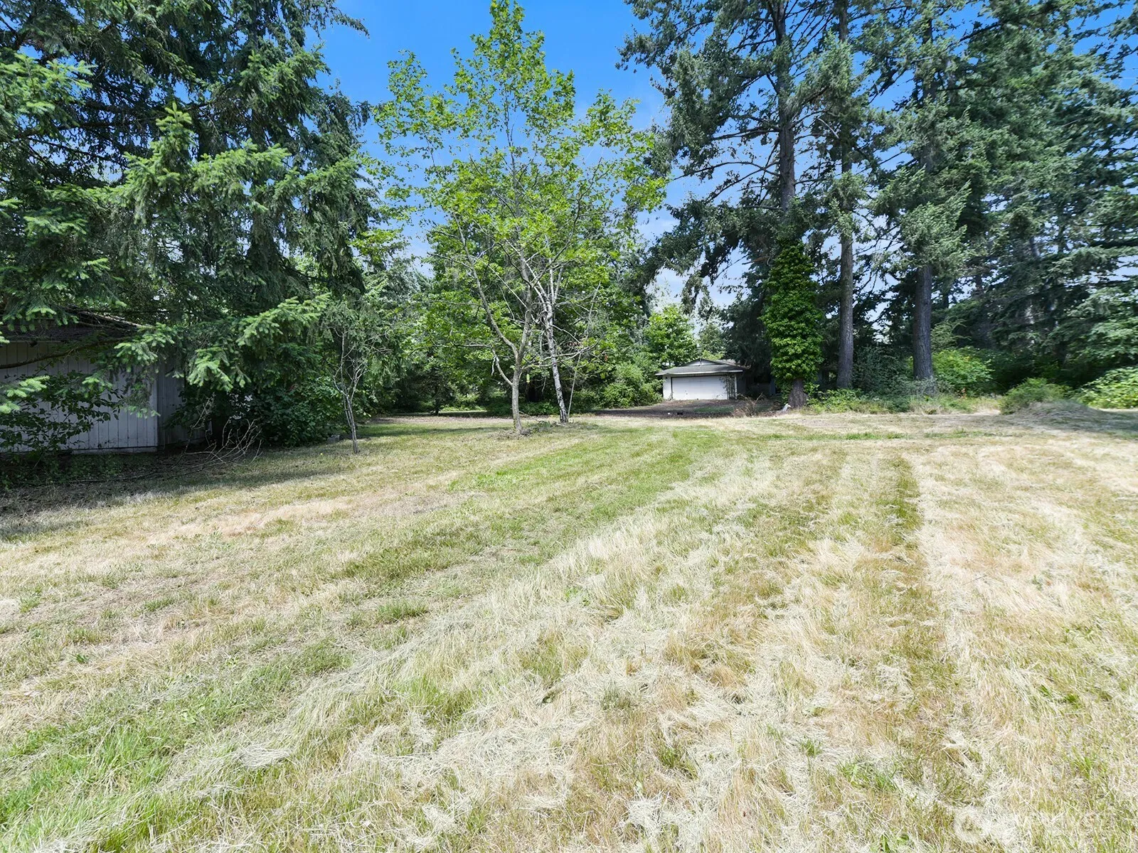 Property photo for 3509 188th Street E, Tacoma photo 4