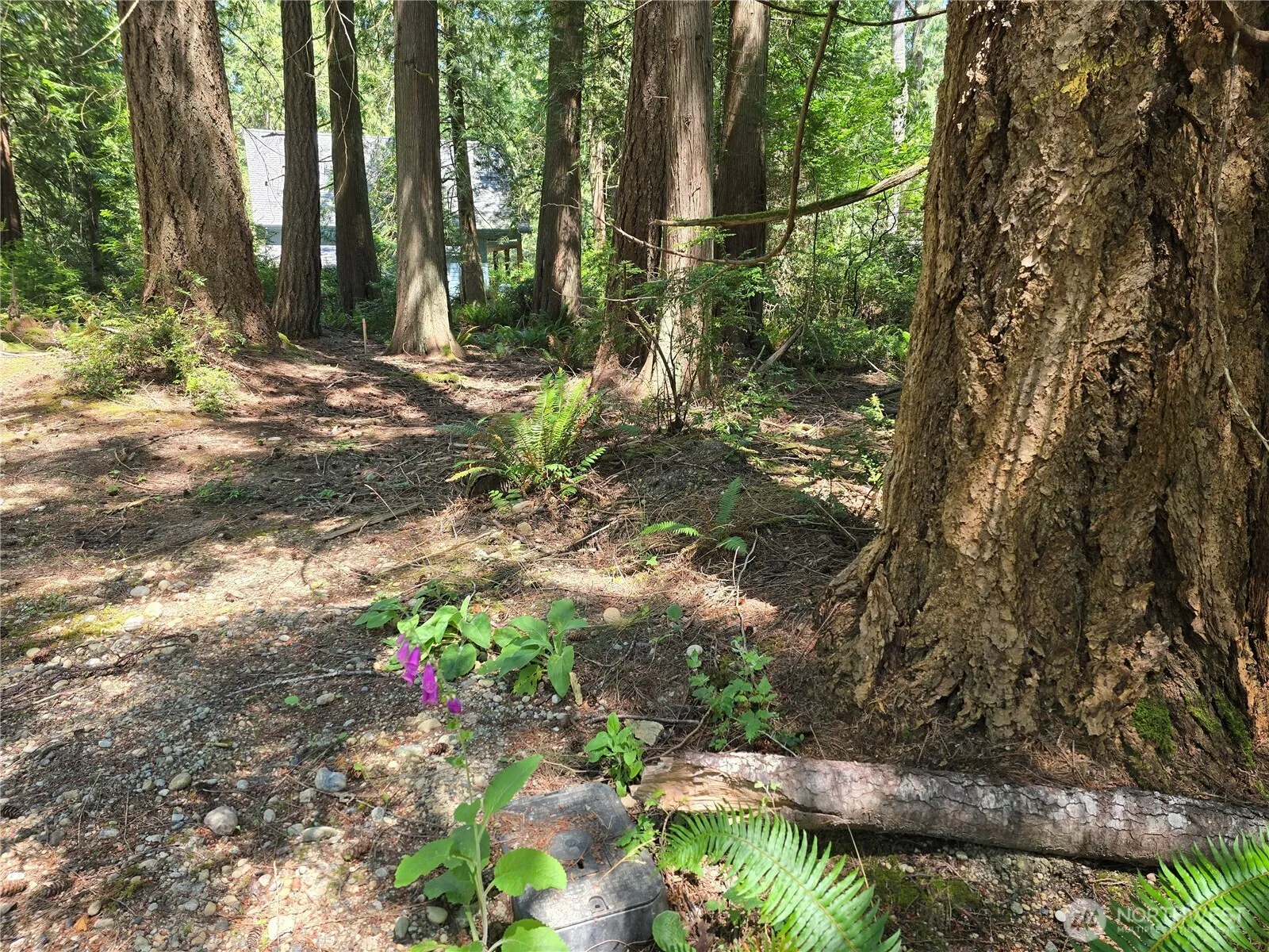 Property photo for 133 E Barnacle Boulevard, Shelton
