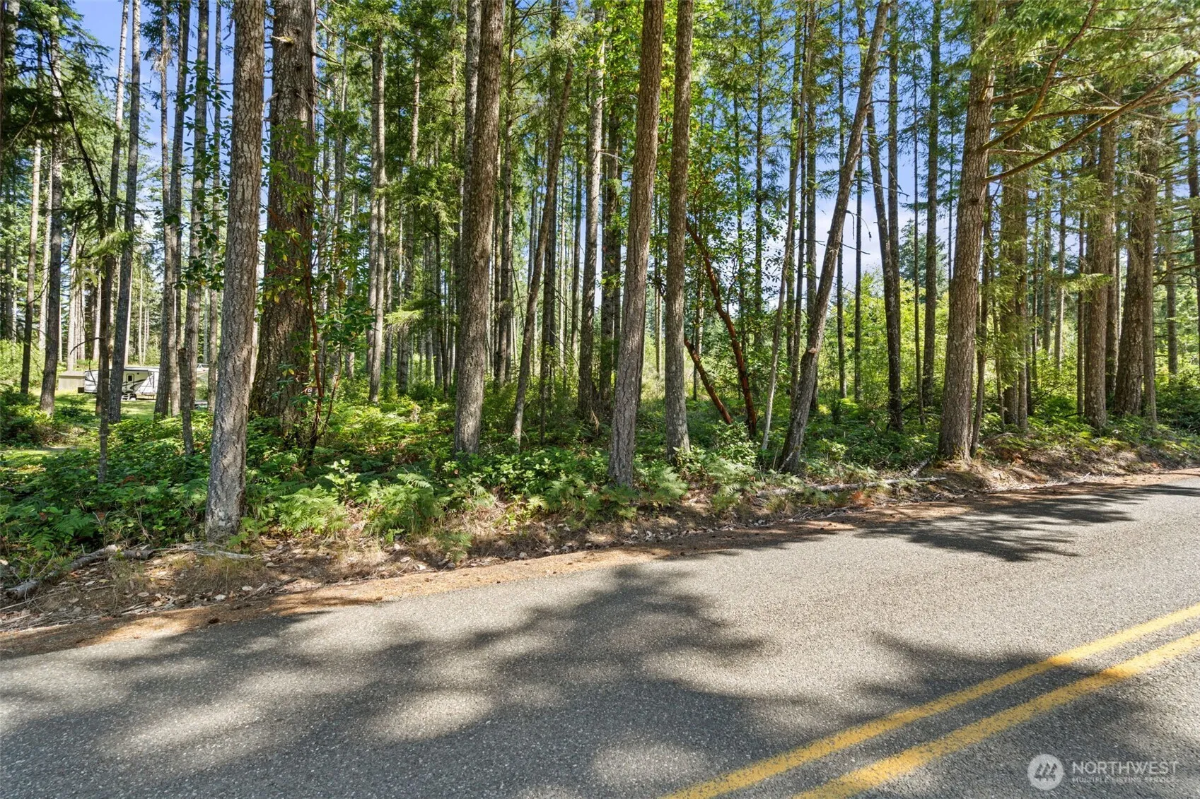 Property photo for 1030 E Phillips Lake Road, Shelton photo 3
