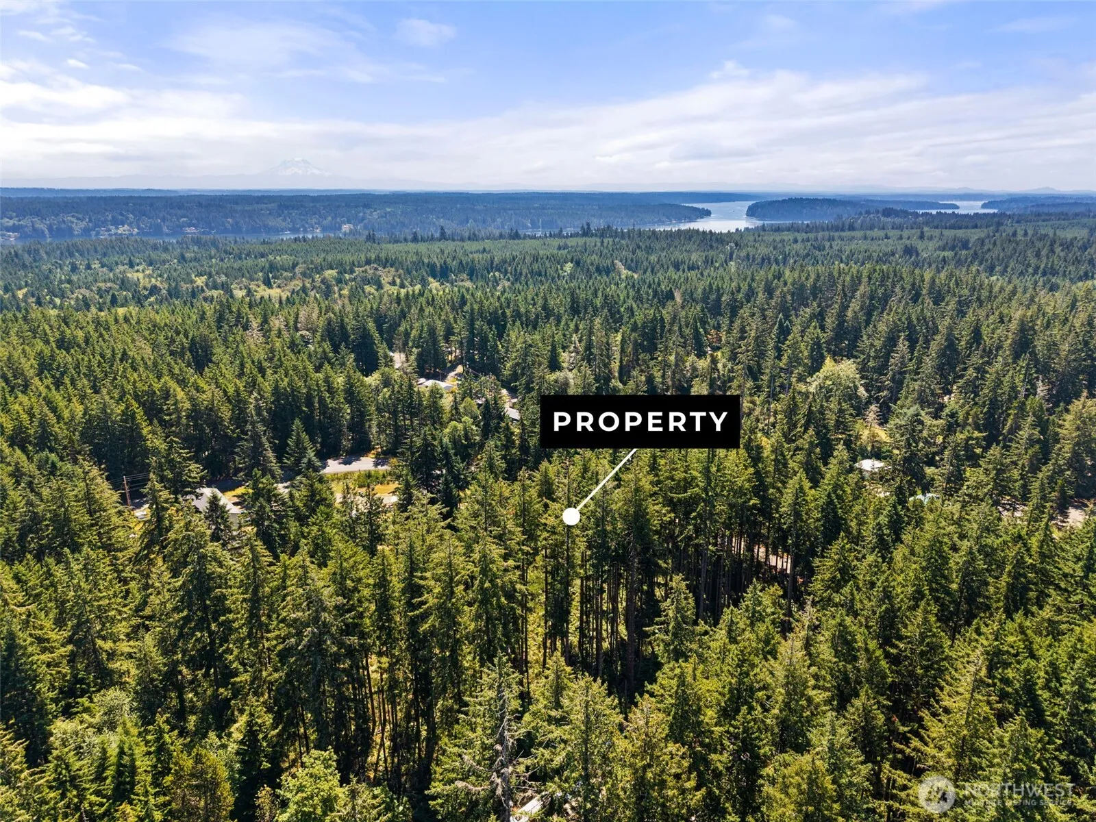 Property photo for 1030 E Phillips Lake Road, Shelton photo 5