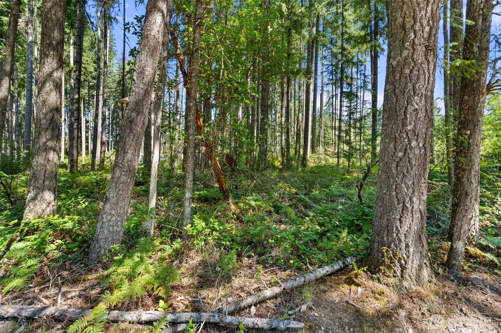 Property photo for 1030 E Phillips Lake Road, Shelton photo 2