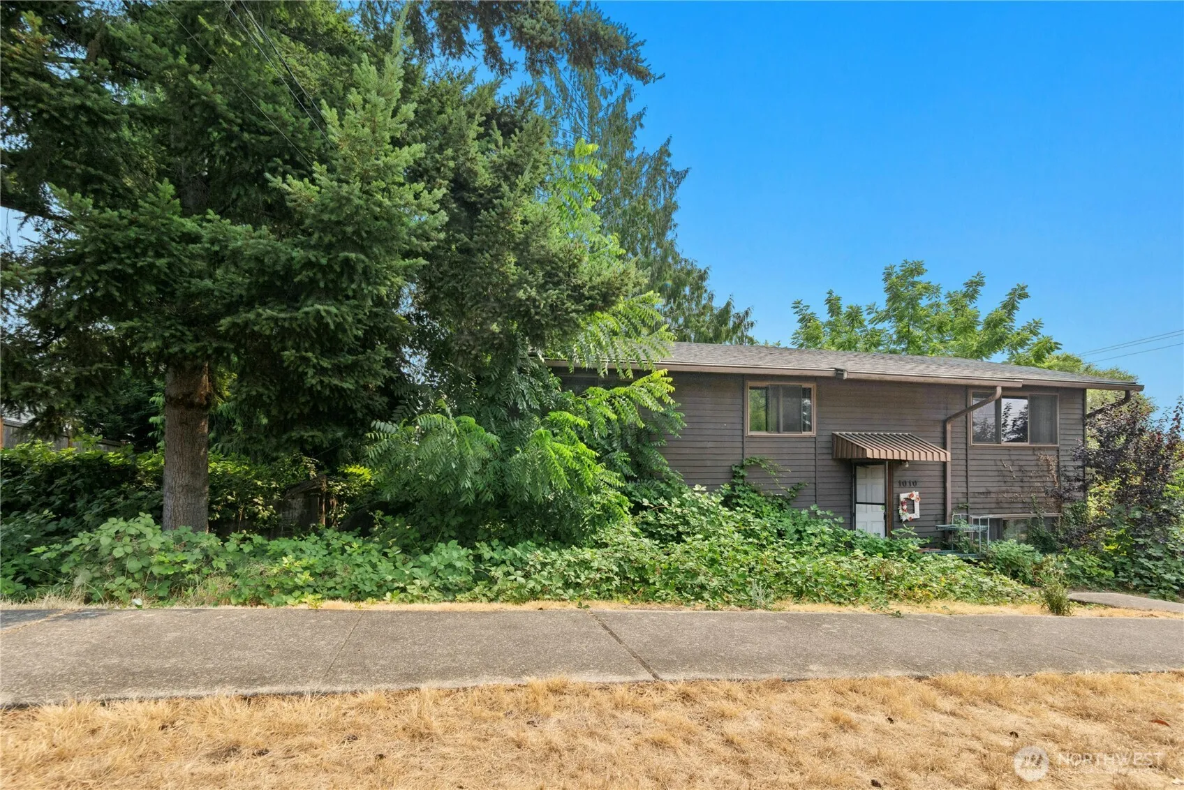 Property photo for 1010 2nd Street, Kirkland photo 5