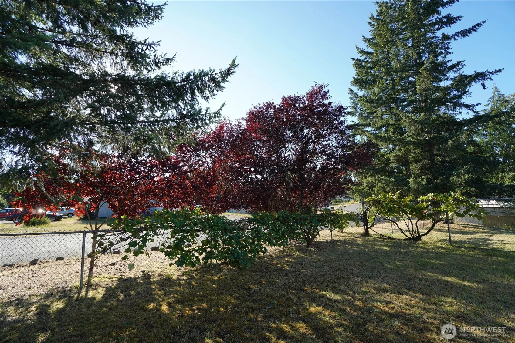 Property photo for 1801 E 164th Street Ct, Spanaway photo 4