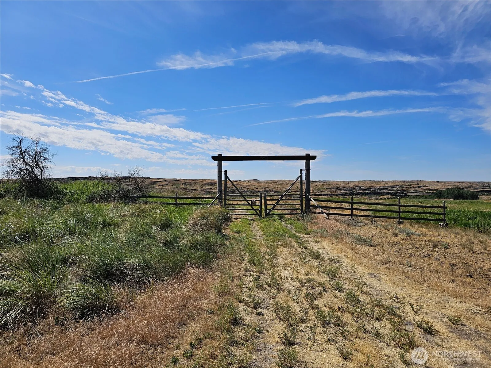Property photo for 24414 Seven Springs Dairy Road E, Harrington photo 2