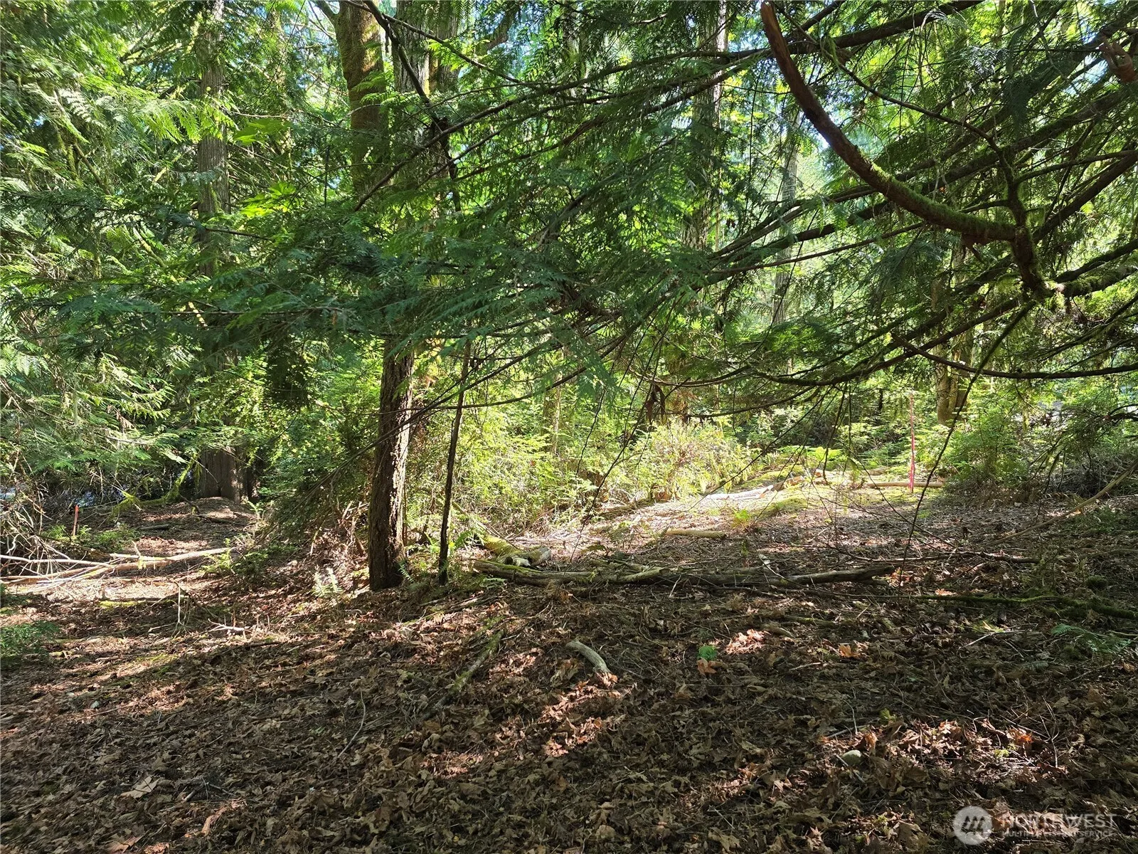 Property photo for 655 E Pointes Drive E, Shelton photo 4