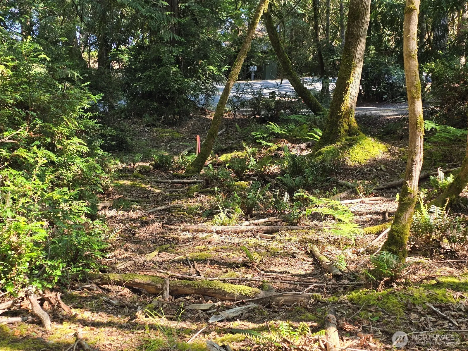 Property photo for 655 E Pointes Drive E, Shelton photo 3