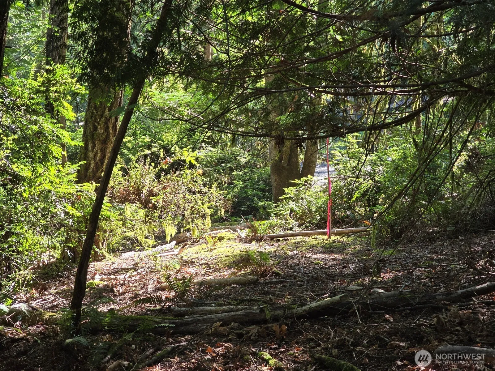Property photo for 655 E Pointes Drive E, Shelton