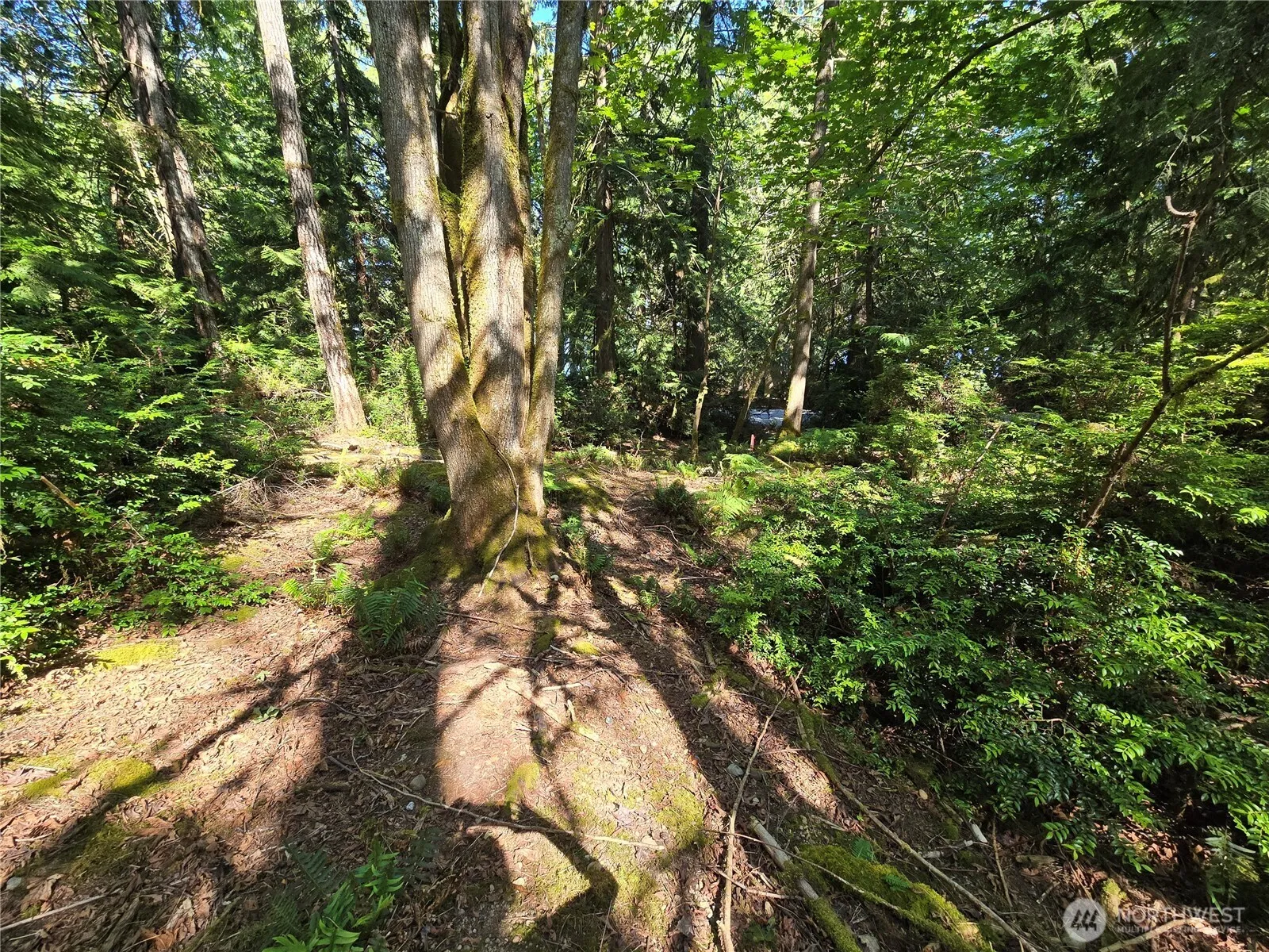 Property photo for 655 E Pointes Drive E, Shelton photo 5