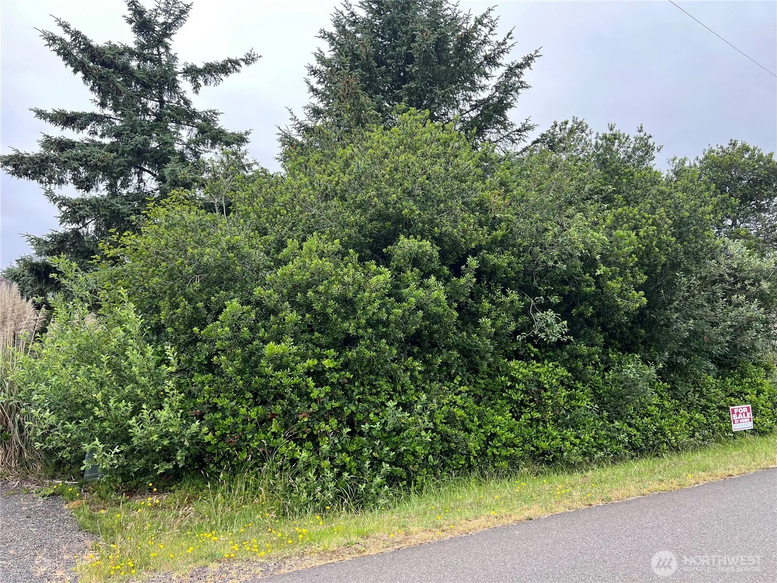 Property photo for 342 N Razor Clam Drive, Ocean Shores