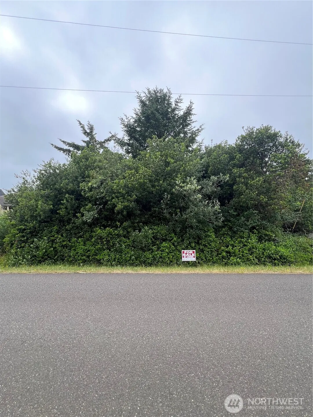 Property photo for 342 N Razor Clam Drive, Ocean Shores photo 4