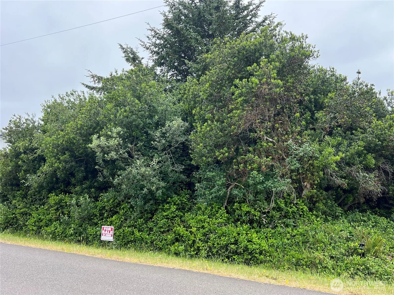 Property photo for 342 N Razor Clam Drive, Ocean Shores photo 3