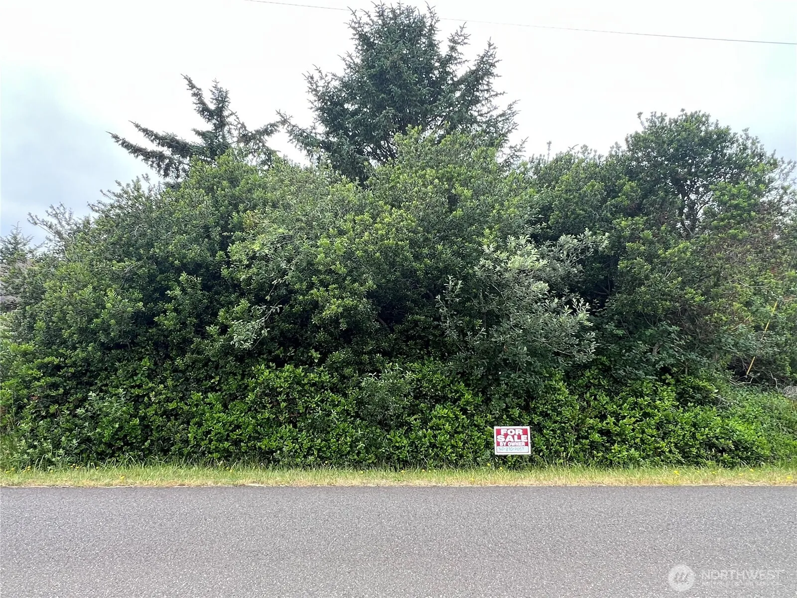 Property photo for 342 N Razor Clam Drive, Ocean Shores photo 2