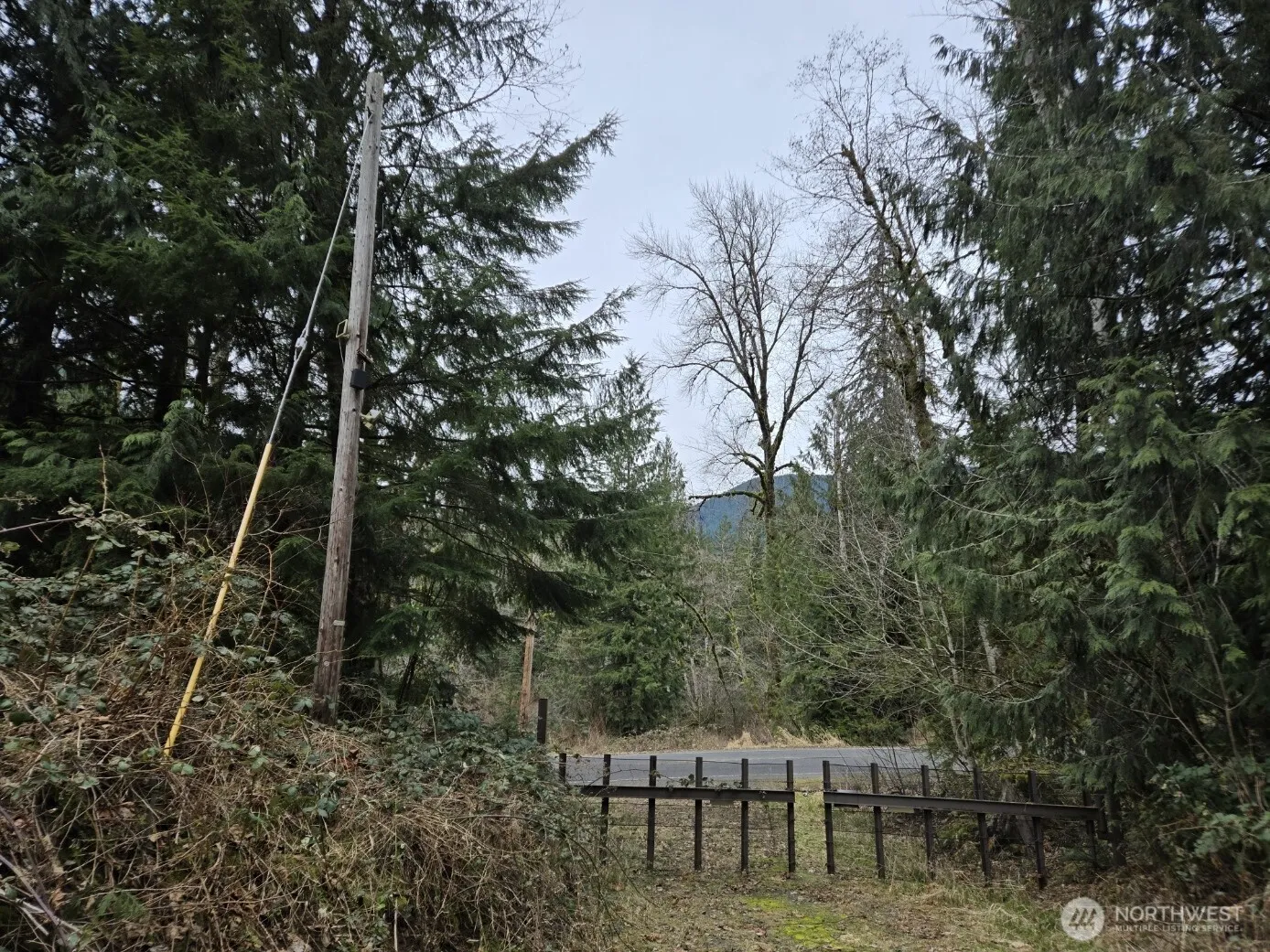 Property photo for 5664 State Route 508, Morton