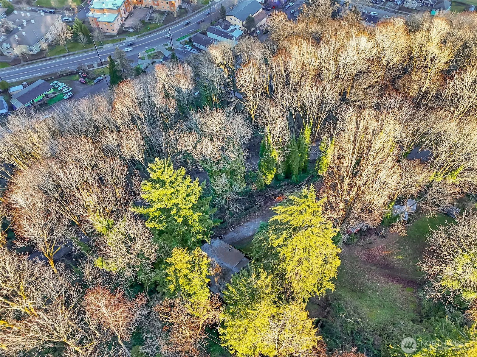 Property photo for 47 Xx Mount View Drive S, Seattle photo 5