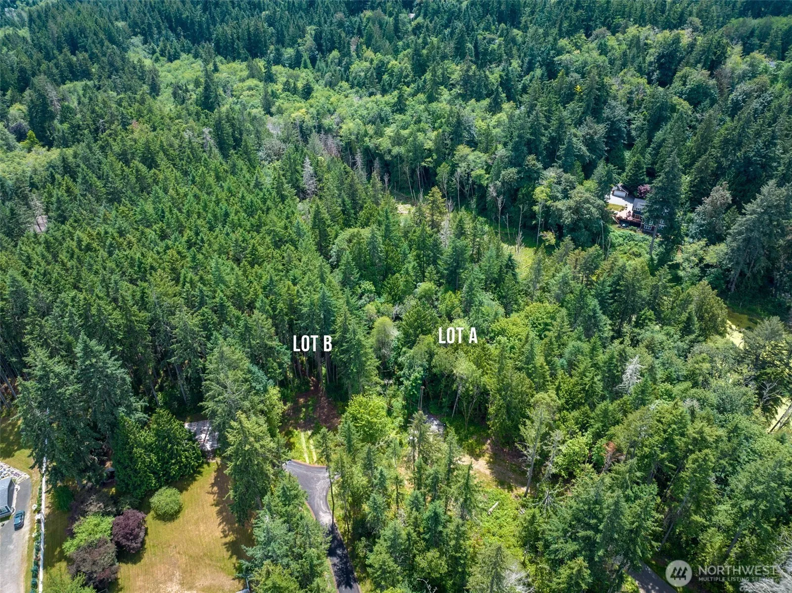 Property photo for 0 Bucsit Lot B, Bainbridge Island photo 5