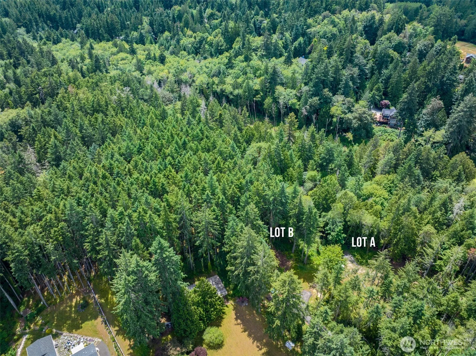 Property photo for 0 Bucsit Lot B, Bainbridge Island photo 4