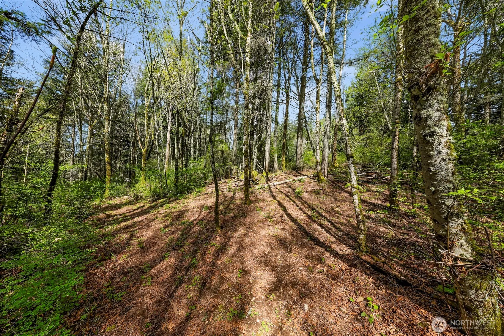 Property photo for 1800 40th Place, Bellingham photo 5