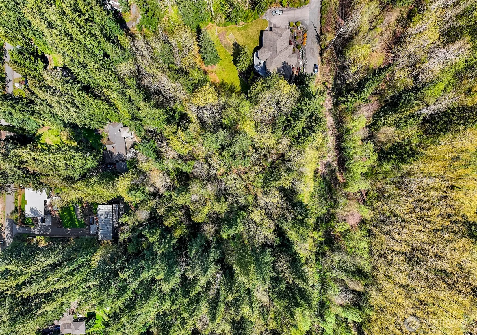 Property photo for 1800 40th Place, Bellingham photo 4