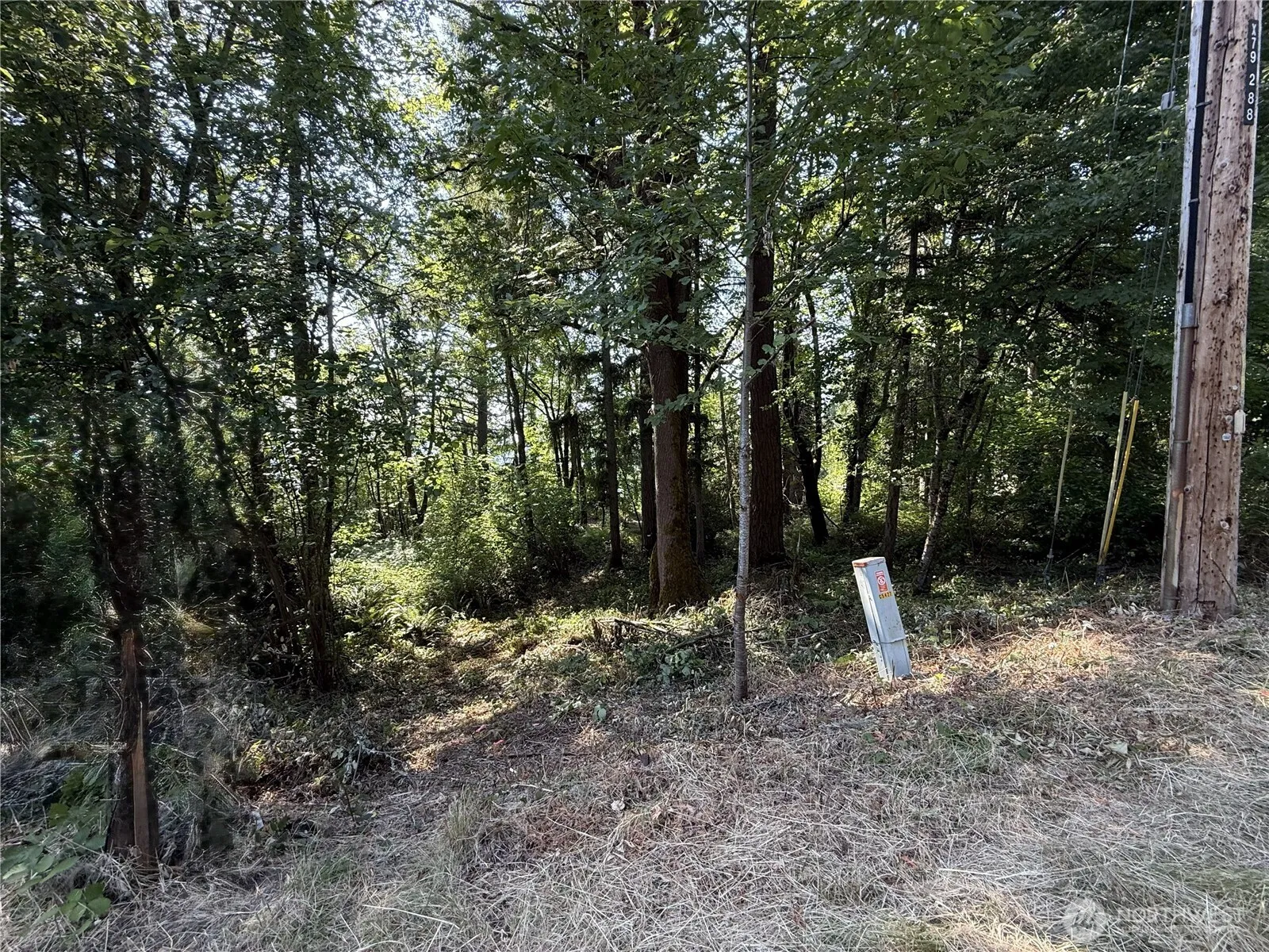 Property photo for 5 Xxx 229th Avenue Se, Issaquah photo 3