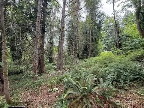 Property photo for 5 Xxx 229th Avenue Se, Issaquah photo 5