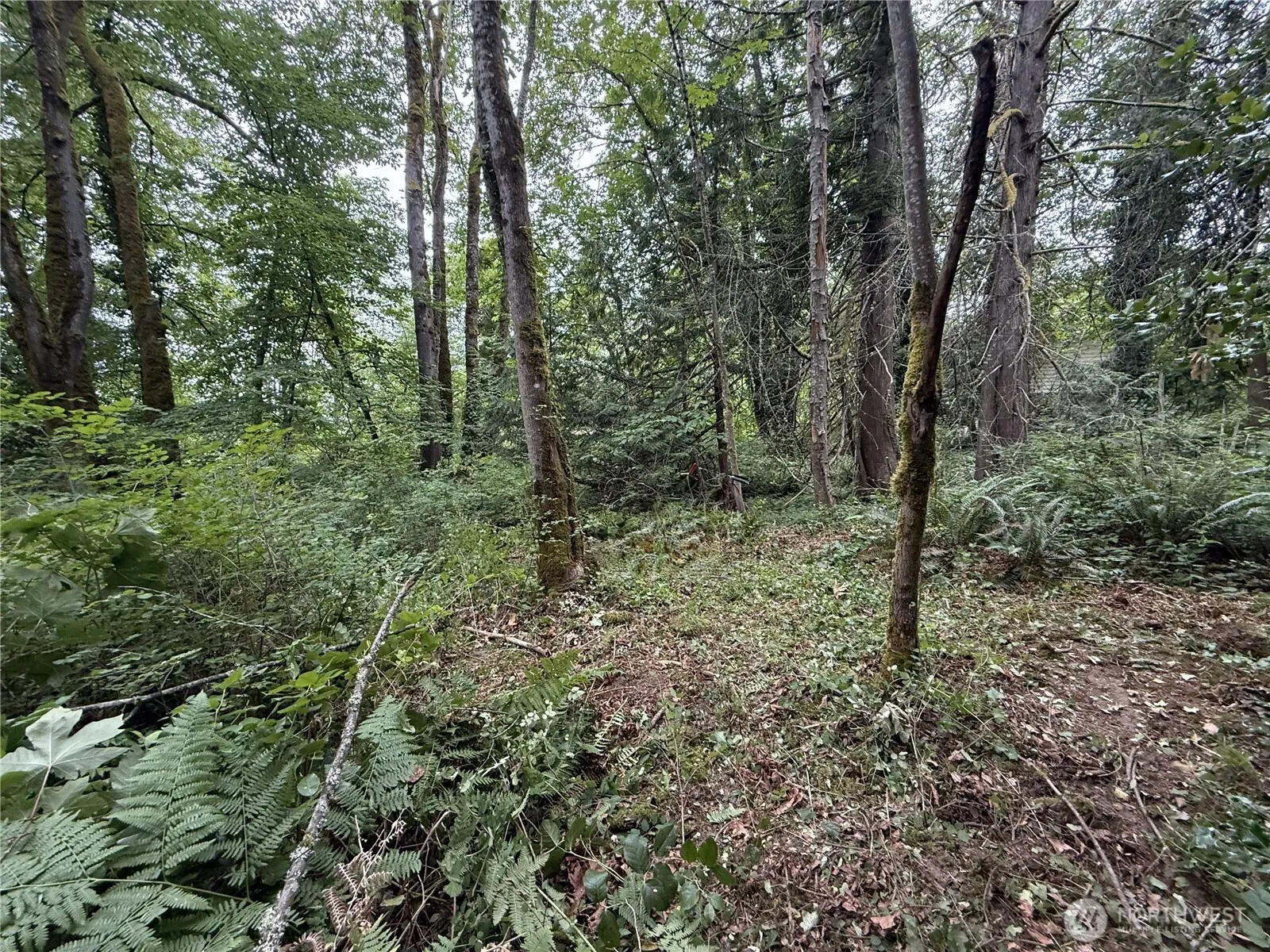 Property photo for 5 Xxx 229th Avenue Se, Issaquah photo 4