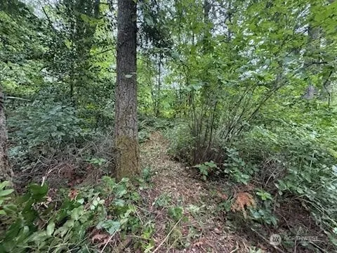 Property photo for 5 Xxx 229th Avenue Se, Issaquah photo 5