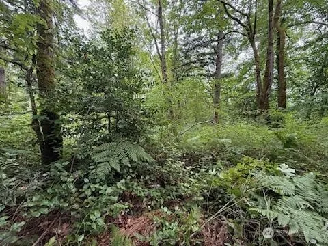 Property photo for 5 Xxx 229th Avenue Se, Issaquah photo 3