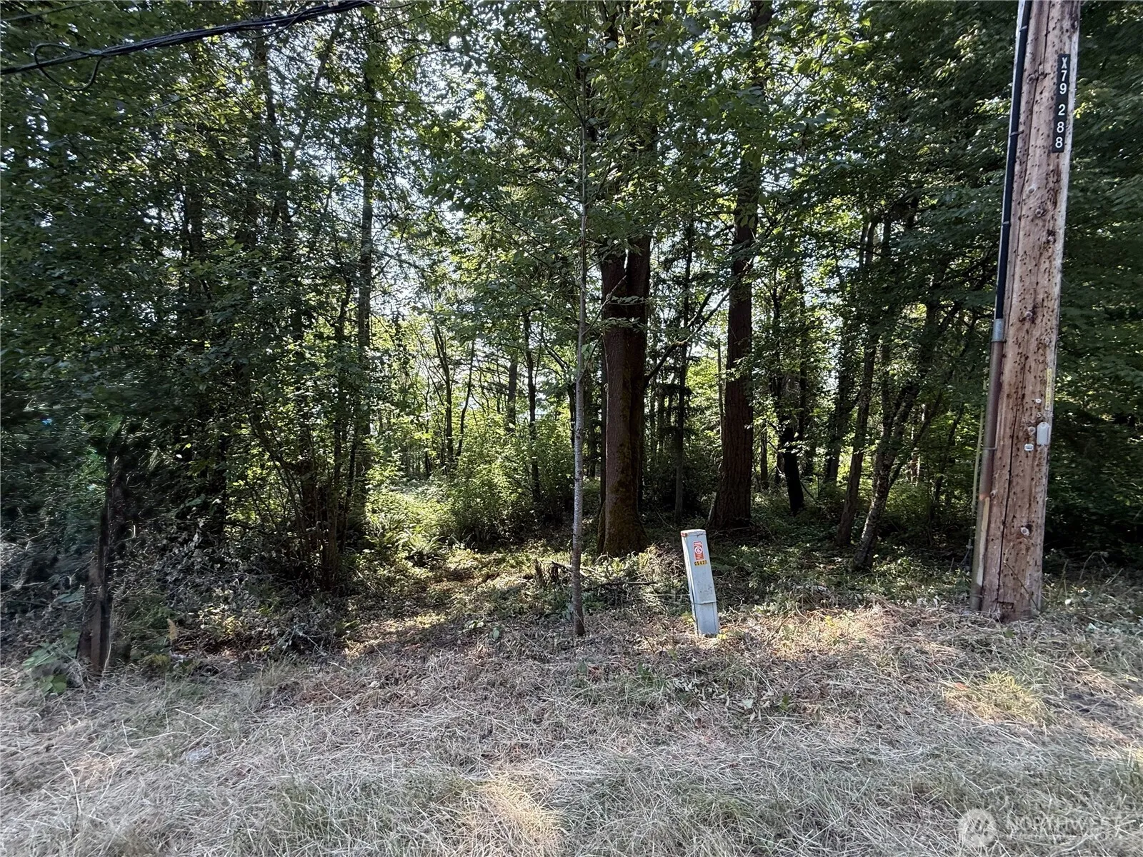 Property photo for 5 Xxx 229th Avenue Se, Issaquah photo 2