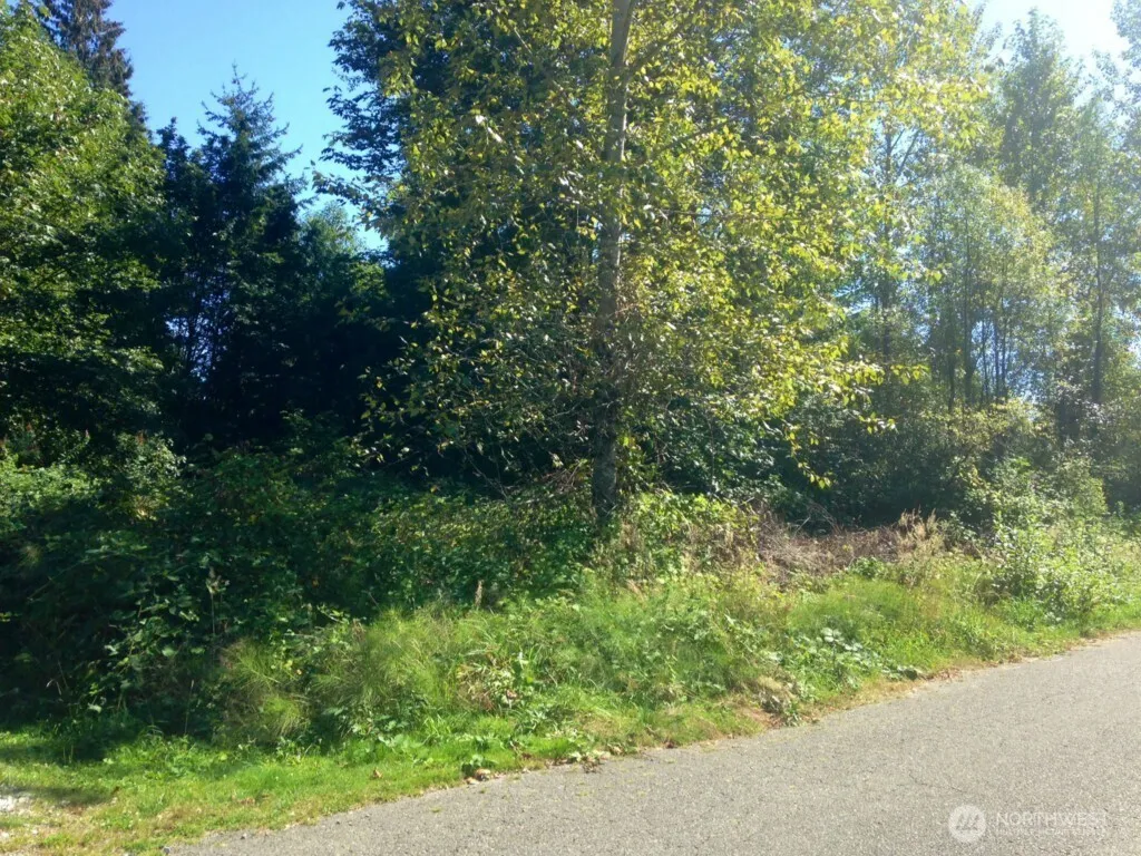 Property photo for 13320 191st Avenue Se, Renton photo 3
