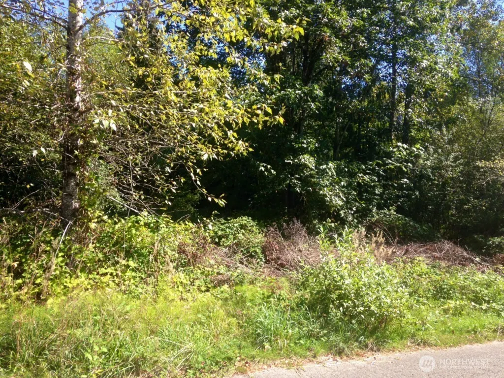 Property photo for 13320 191st Avenue Se, Renton photo 2