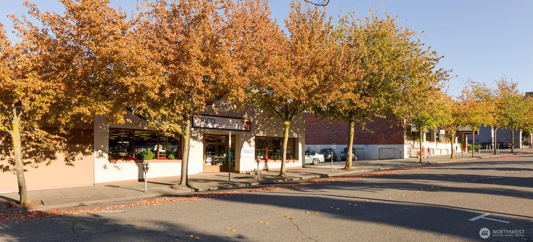 Property photo for 1205 Commercial Street, Bellingham photo 2
