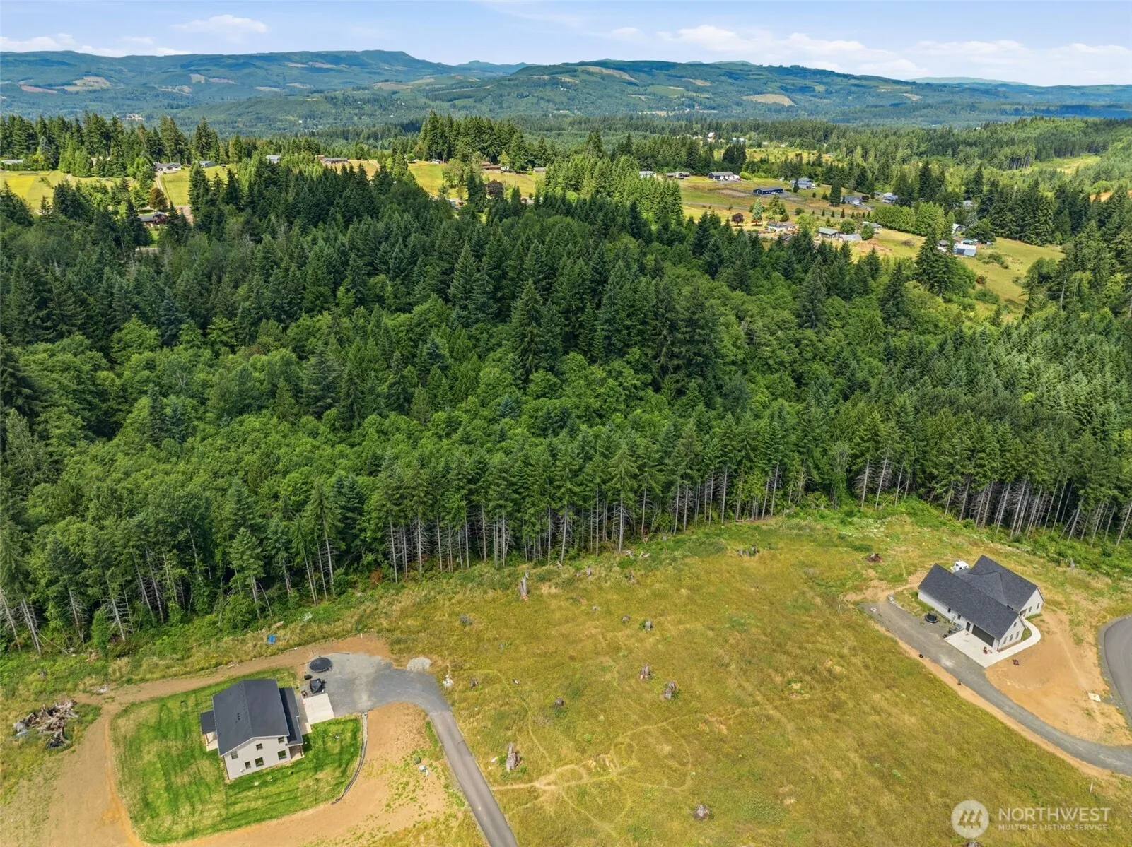 Property photo for 252 Ash Mountain Drive, Castle Rock photo 4