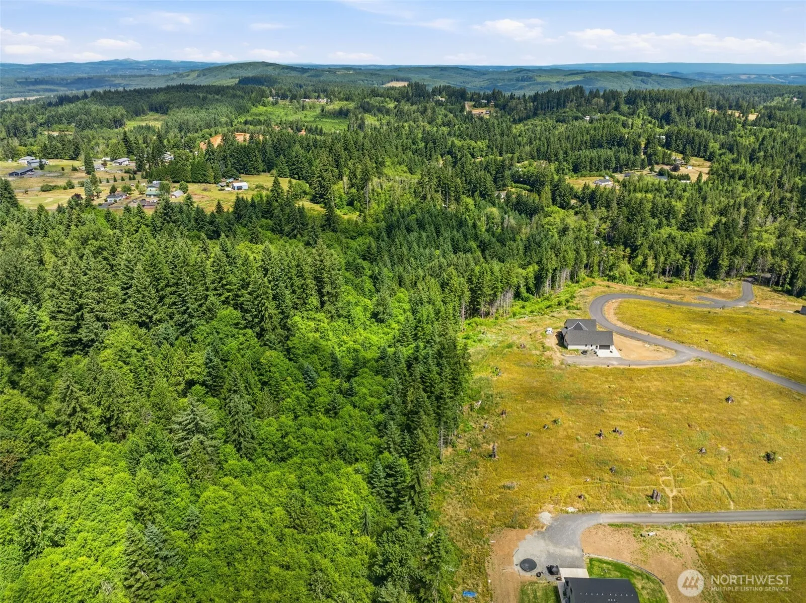 Property photo for 252 Ash Mountain Drive, Castle Rock photo 5