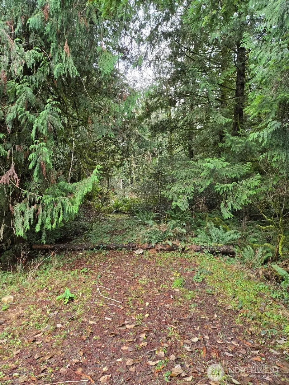 Property photo for 13824 Lone Maple Lane Nw, Poulsbo photo 5
