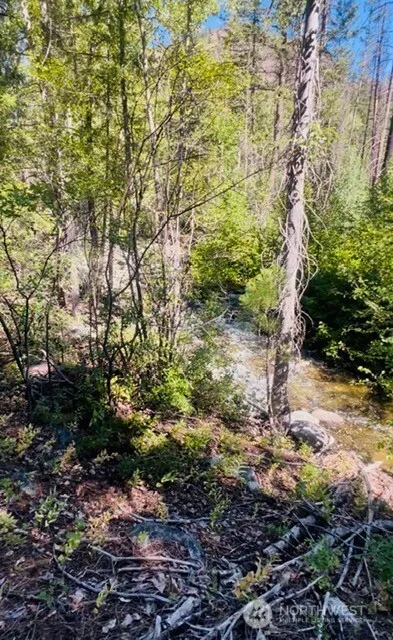 Property photo for 0 E Buttermilk Creek Road, Twisp photo 3