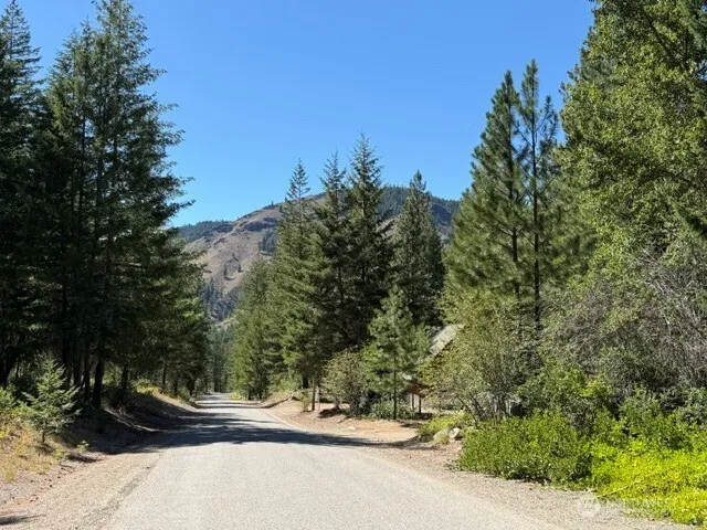 Property photo for 0 E Buttermilk Creek Road, Twisp photo 4