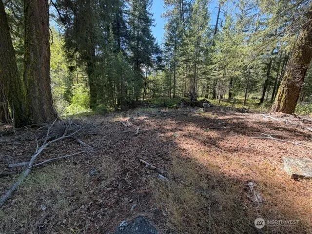 Property photo for 0 E Buttermilk Creek Road, Twisp photo 2