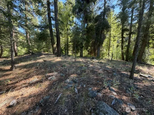 Property photo for 0 E Buttermilk Creek Road, Twisp