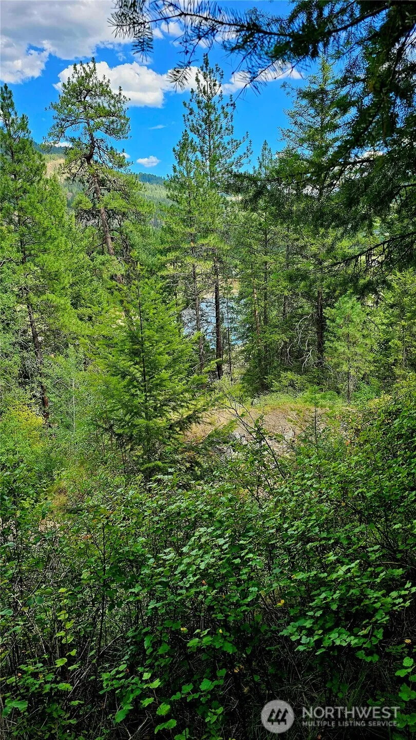 Property photo for 10 Humes Road, Kettle Falls photo 5