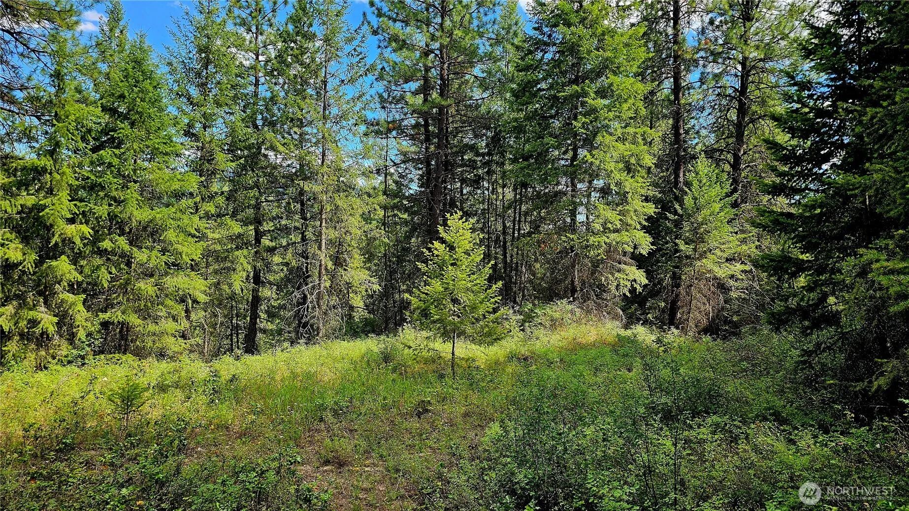 Property photo for 10 Humes Road, Kettle Falls photo 3