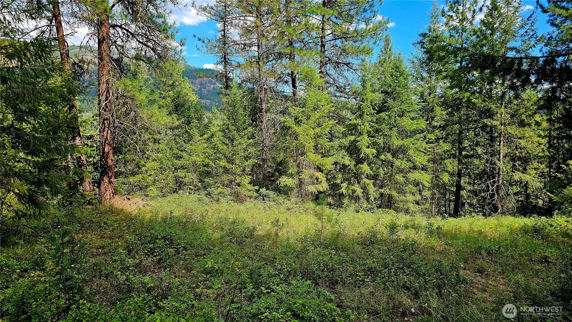 Property photo for 10 Humes Road, Kettle Falls photo 2
