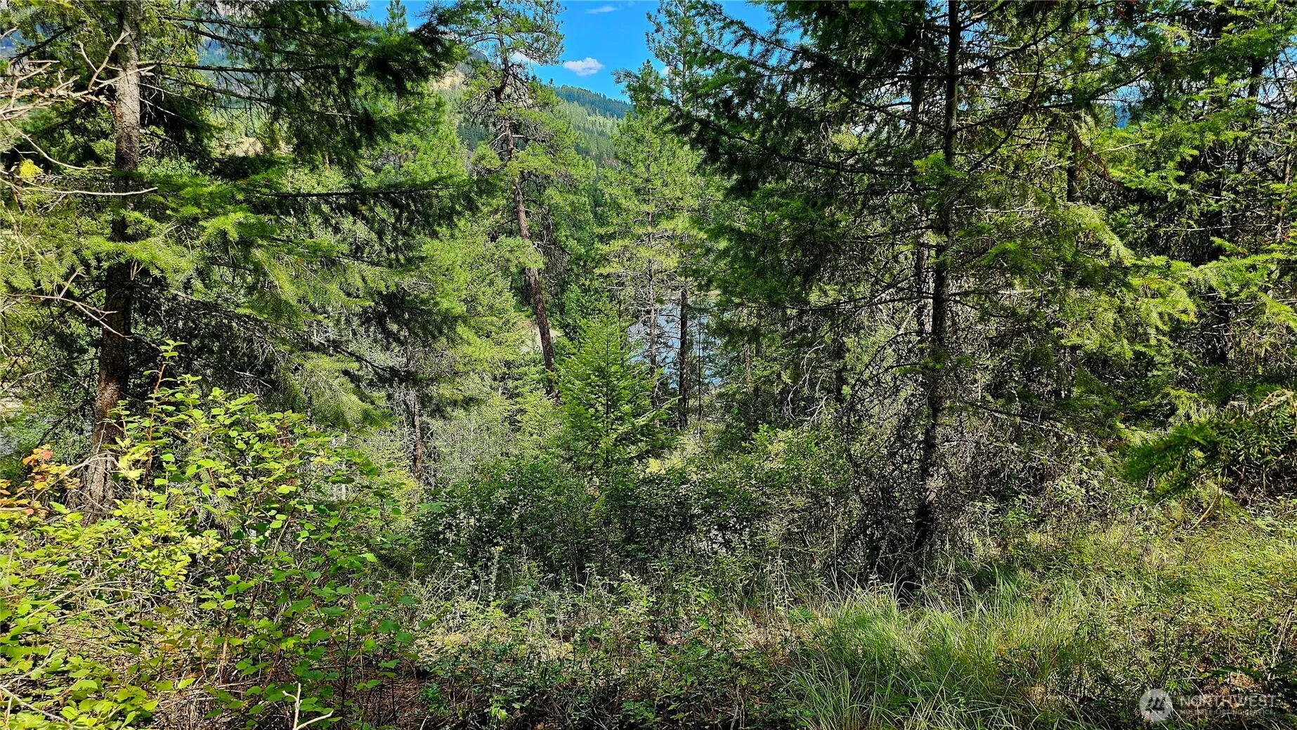 Property photo for 10 Humes Road, Kettle Falls photo 4