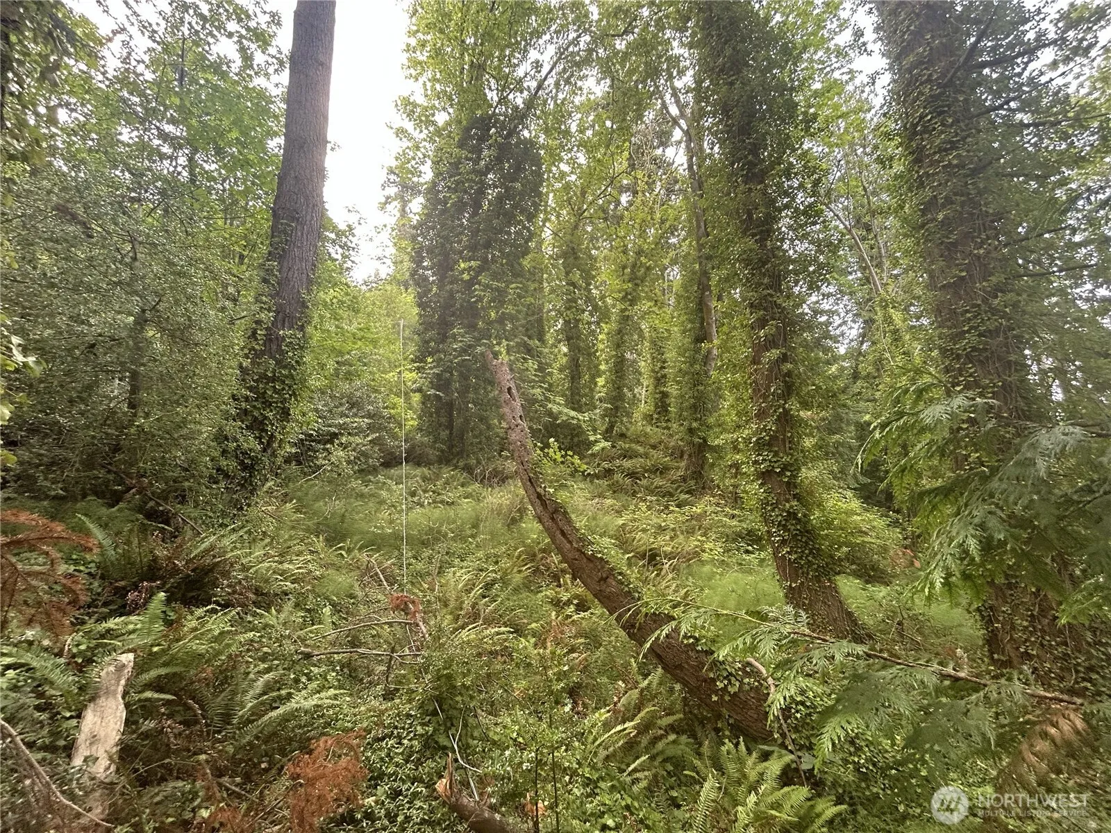 Property photo for 1 Se Goat Trail Rd, Port Orchard