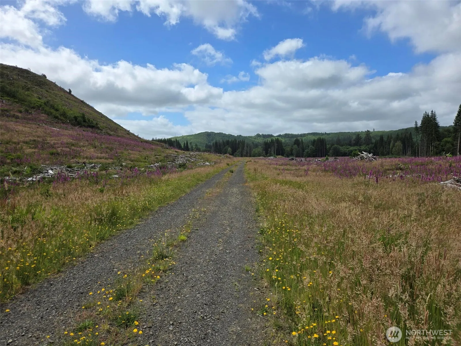 Property photo for 0 Off Of North River Road, Cosmopolis