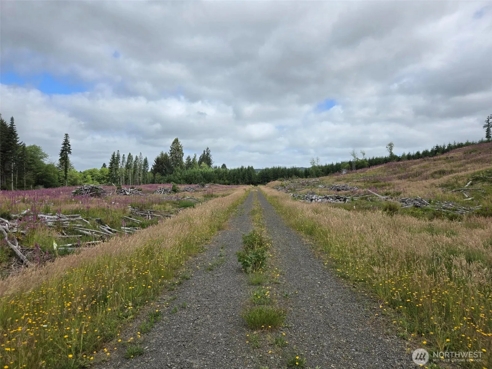 Property photo for 0 Off Of North River Road, Cosmopolis photo 5